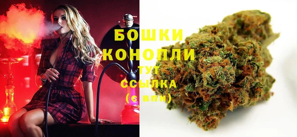 гашик Богородск
