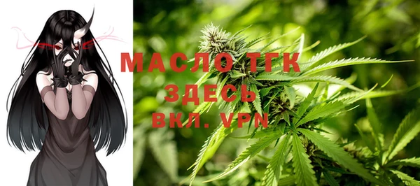 гашик Богородск